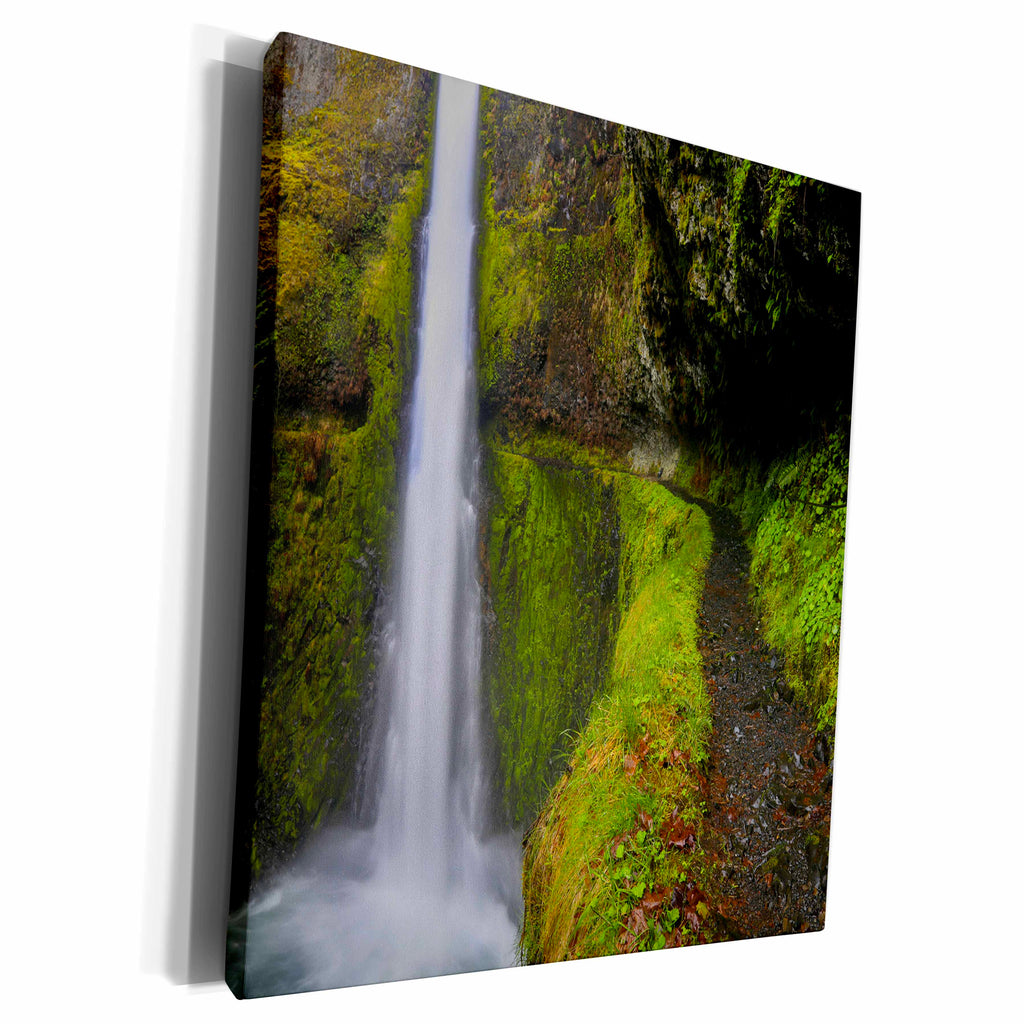 3dRose USA, Oregon. Trail around Tunnel Falls on Eagle... - Museum Grade Canvas Wrap (cw_190420)