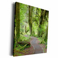 3dRose Washington, Olympic NP. Hall of Mosses Trail, Hoh... - Museum Grade Canvas Wrap (cw_190996)