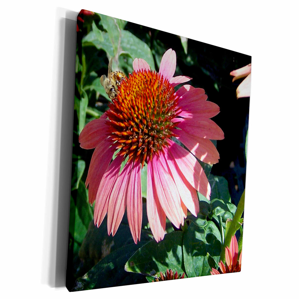 3dRose Cones flower pink - Museum Grade Canvas Wrap (cw_19102)