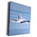 3dRose USA, Alaska, Freshwater Bay. Humpback whales bubble... - Museum Grade Canvas Wrap (cw_191040)