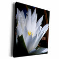 3dRose White Lily Flower - Museum Grade Canvas Wrap (cw_19106)