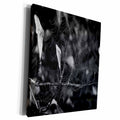 3dRose Spider web frosted - Museum Grade Canvas Wrap (cw_19160)