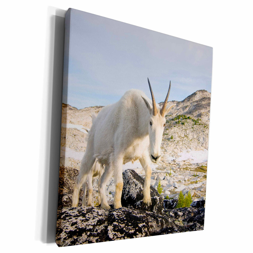 3dRose USA, Washington, Cascade Range, Upper Enchantments,... - Museum Grade Canvas Wrap (cw_192007)