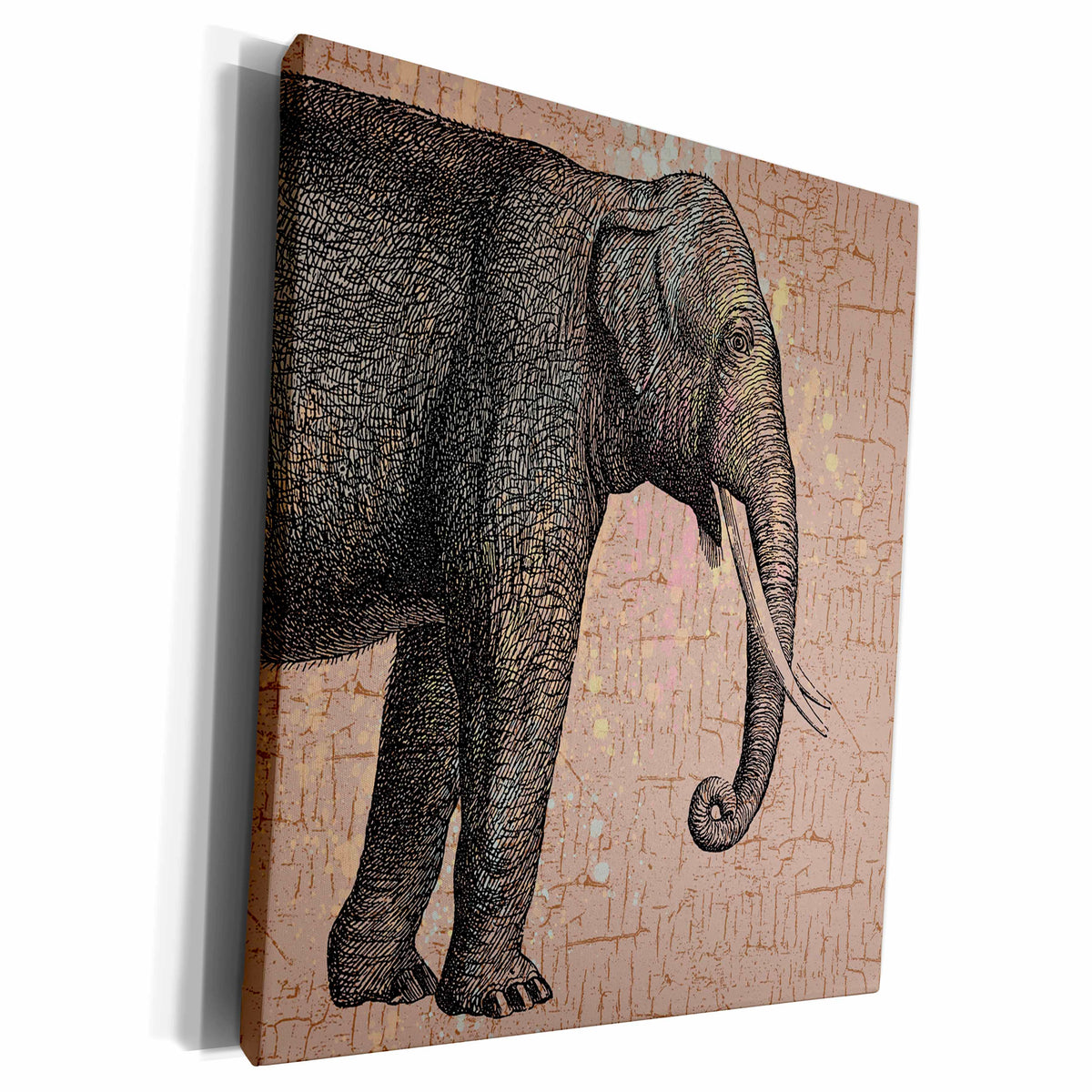 3dRose PS Animals - Grey Elephant - Museum Grade Canvas Wrap (cw_192636)