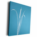3dRose PS Nature - Willow Plant - Museum Grade Canvas Wrap (cw_192664)
