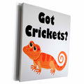 3dRose EvaDane - Funny Quotes - Got crickets, Orange, Museum Grade Canvas Wrap (cw_193331)