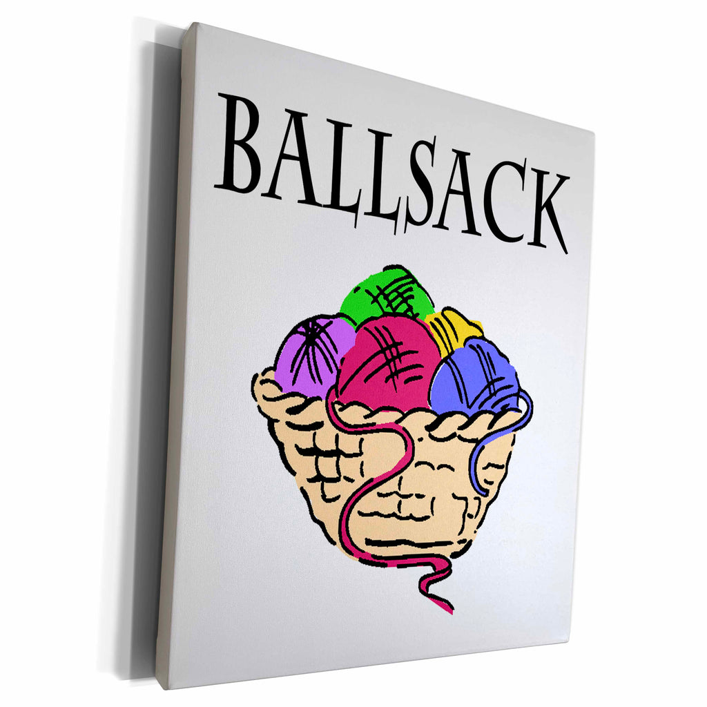 3dRose EvaDane - Funny Quotes - Ballsack. - Museum Grade Canvas Wrap (cw_193377)