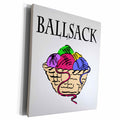 3dRose EvaDane - Funny Quotes - Ballsack. - Museum Grade Canvas Wrap (cw_193377)