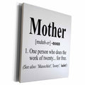 3dRose EvaDane - Funny Quotes - Mother definition. - Museum Grade Canvas Wrap (cw_193598)