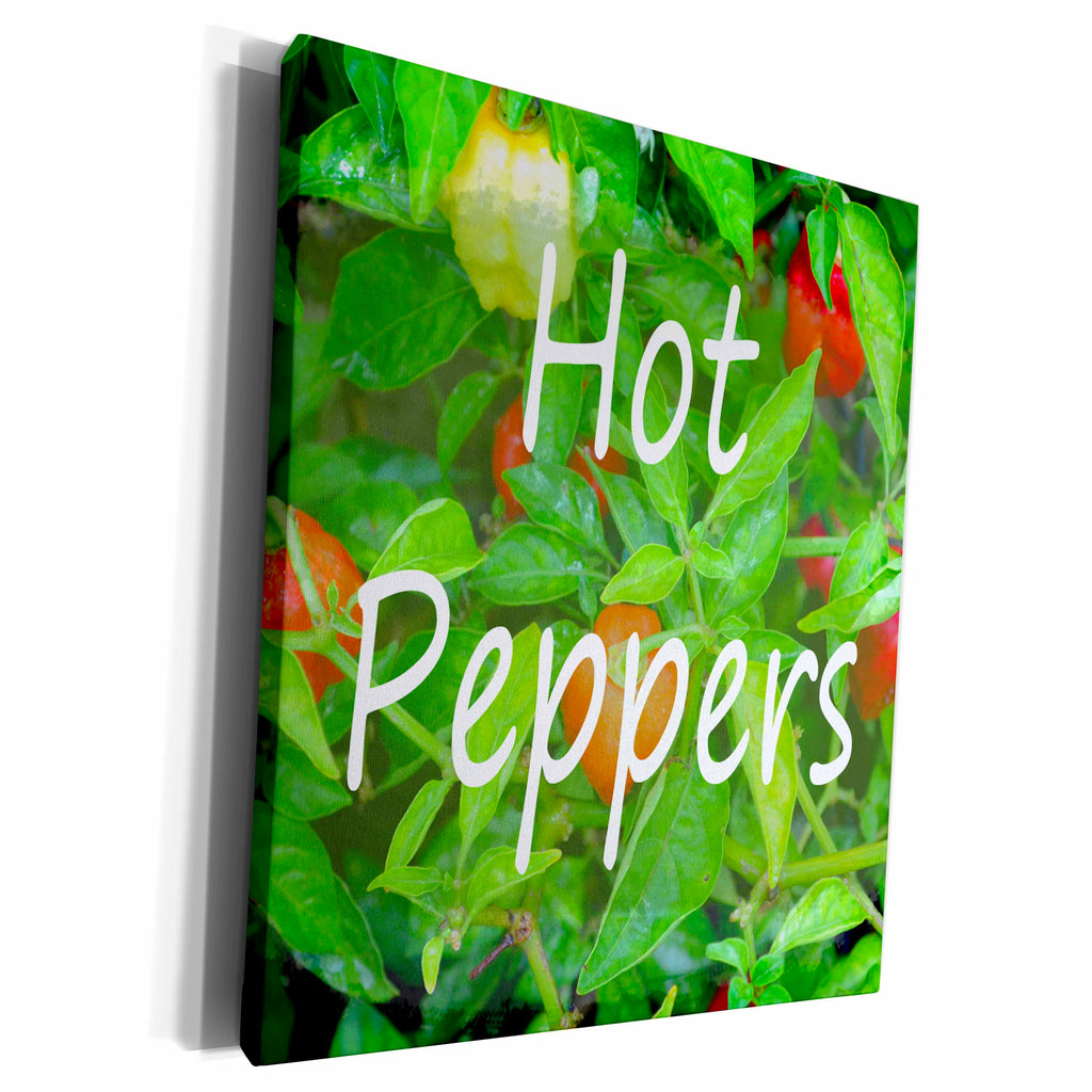 3dRose hot peppers text with plants background - Museum Grade Canvas Wrap (cw_194404)