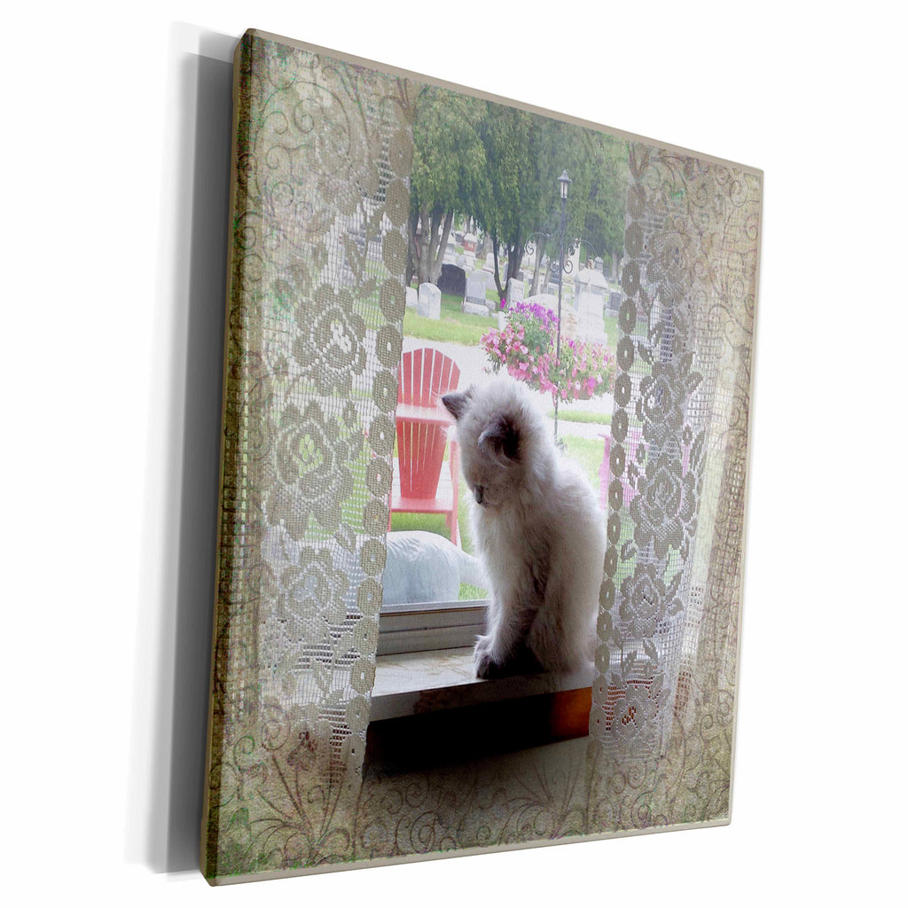 3dRose Sleepy Kitten in a Window - Museum Grade Canvas Wrap (cw_195394)