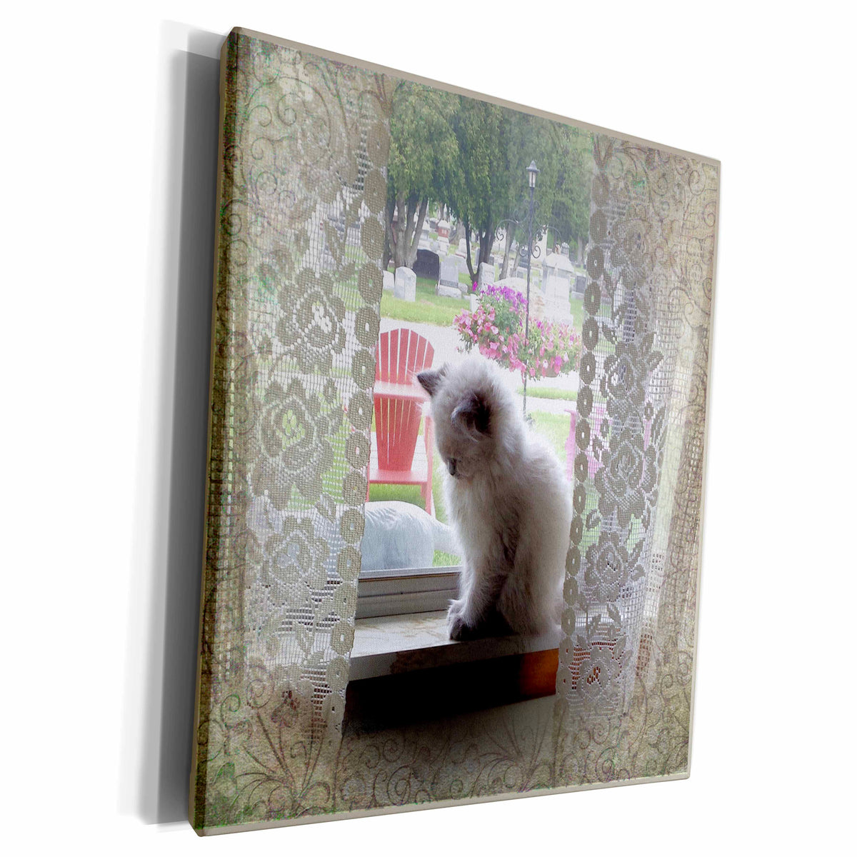 3dRose Sleepy Kitten in a Window - Museum Grade Canvas Wrap (cw_195394)