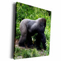 3dRose Silverback Gorilla walking sideways - Museum Grade Canvas Wrap (cw_196200)