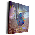 3dRose BrooklynMeMe Fish - Parrotfish - Front View - Museum Grade Canvas Wrap (cw_200870)