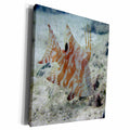 3dRose BrooklynMeMe Fish - Hogfish - Side View - Museum Grade Canvas Wrap (cw_200873)