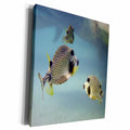 3dRose BrooklynMeMe Fish - Smooth Trunkfish - Museum Grade Canvas Wrap (cw_200885)
