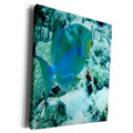 3dRose BrooklynMeMe Fish - Queen Triggerfish - Museum Grade Canvas Wrap (cw_200891)