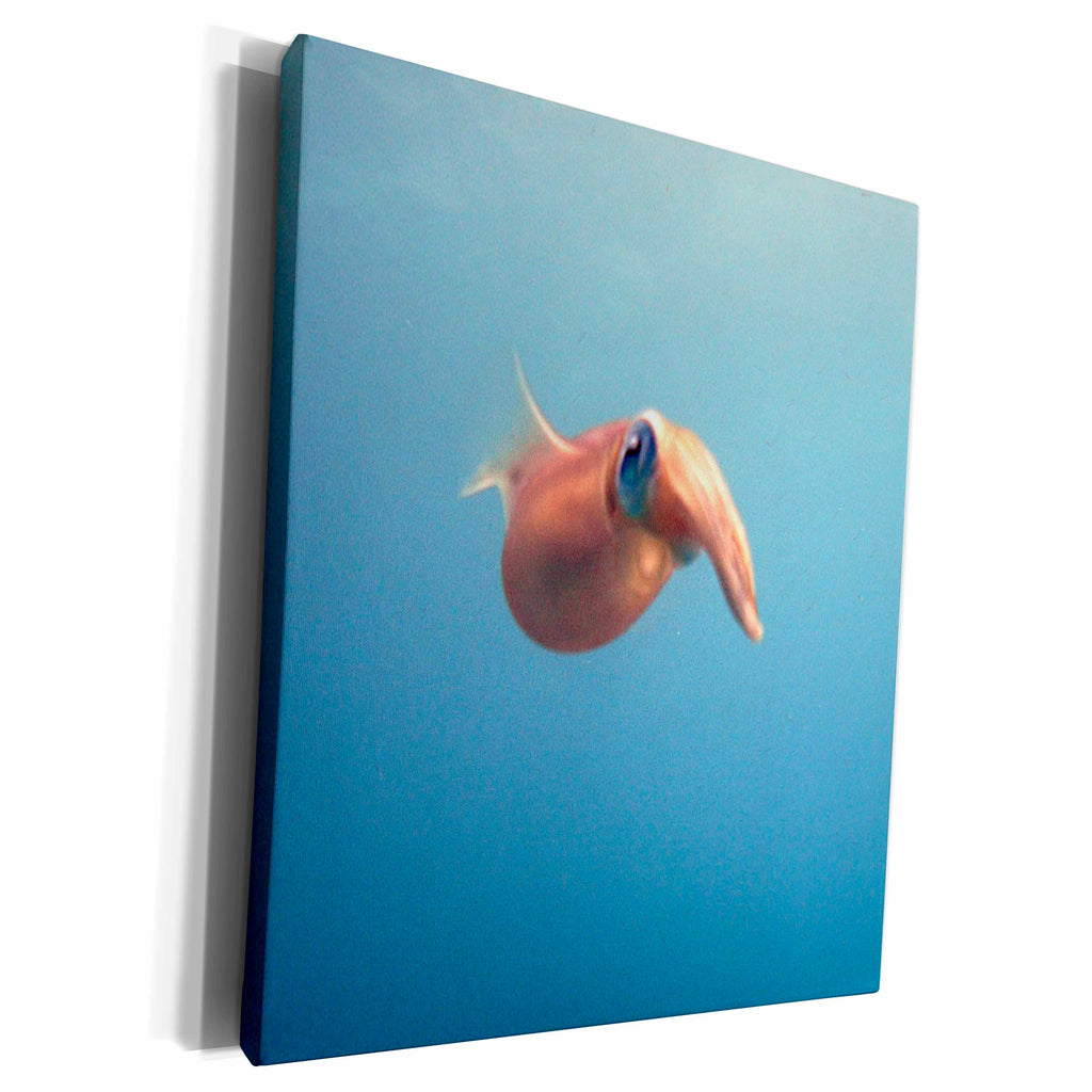 3dRose BrooklynMeMe Fish - Reef Squid - Museum Grade Canvas Wrap (cw_200893)