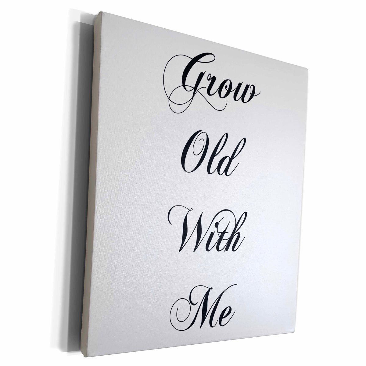 3dRose PS Sentiments - Grow Old With Me - Museum Grade Canvas Wrap (cw_201497)