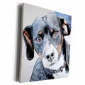 3dRose Rat terrier Digital art colored pencils - Museum Grade Canvas Wrap (cw_201559)