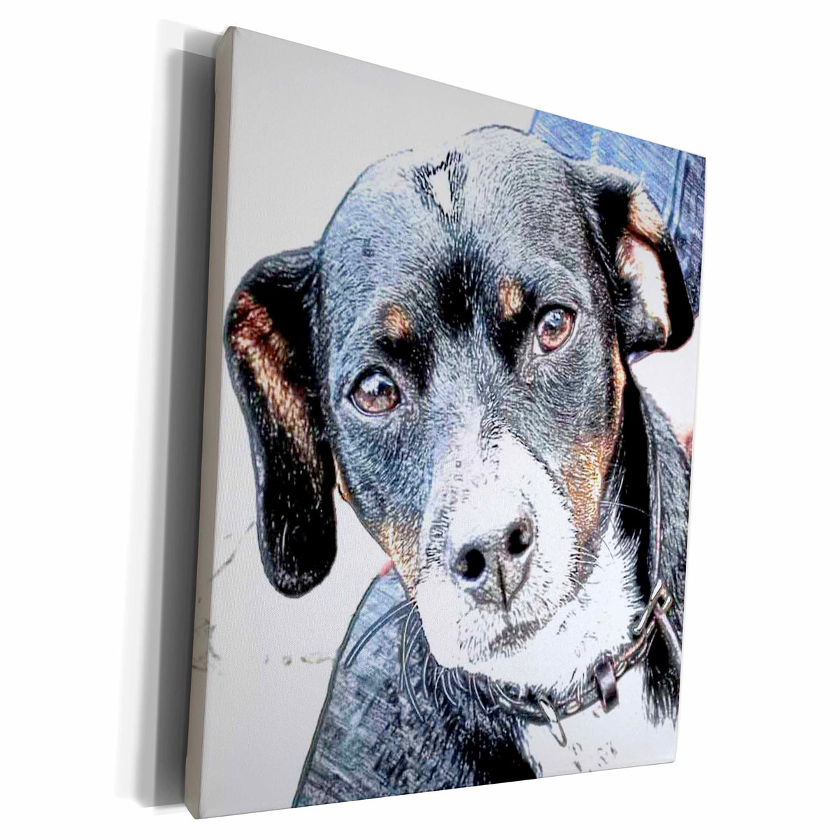 3dRose Rat terrier Digital art colored pencils - Museum Grade Canvas Wrap (cw_201559)