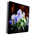 3dRose Lavender colored pansies - Museum Grade Canvas Wrap (cw_201715)