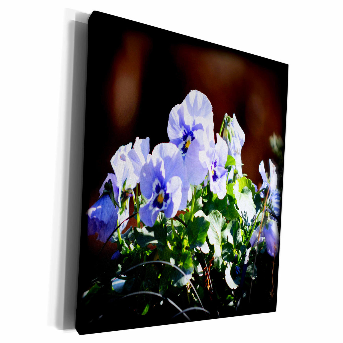 3dRose Lavender colored pansies - Museum Grade Canvas Wrap (cw_201715)