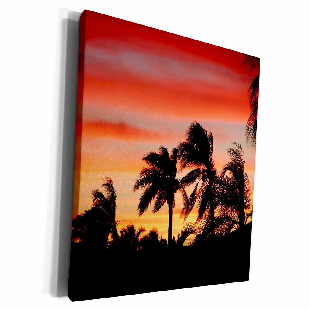 3dRose Florene Tropical Sunset - Windy Palms - Museum Grade Canvas Wrap (cw_20272)