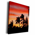 3dRose Florene Tropical Sunset - Windy Palms - Museum Grade Canvas Wrap (cw_20272)