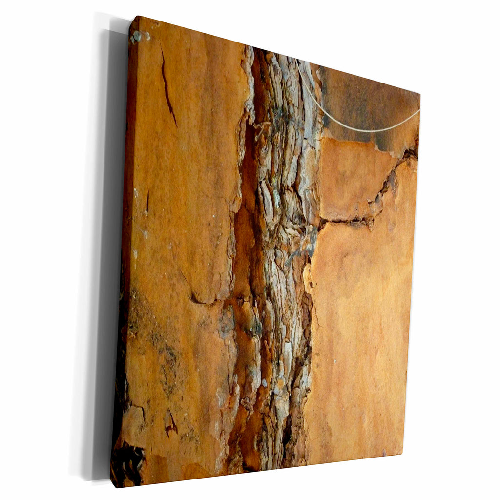 3dRose Florene Designer Texture - Old Bark - Museum Grade Canvas Wrap (cw_20316)