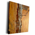 3dRose Florene Designer Texture - Old Bark - Museum Grade Canvas Wrap (cw_20316)