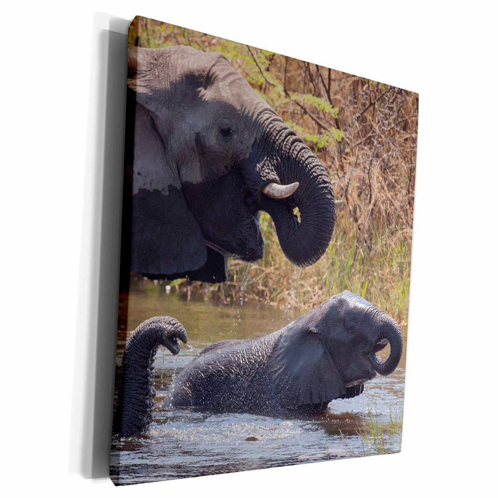 3dRose Namibia, Caprivi, Mudumu NP. Elephants bathing and... - Museum Grade Canvas Wrap (cw_205855)