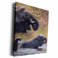 3dRose Namibia, Caprivi, Mudumu NP. Elephants bathing and... - Museum Grade Canvas Wrap (cw_205855)