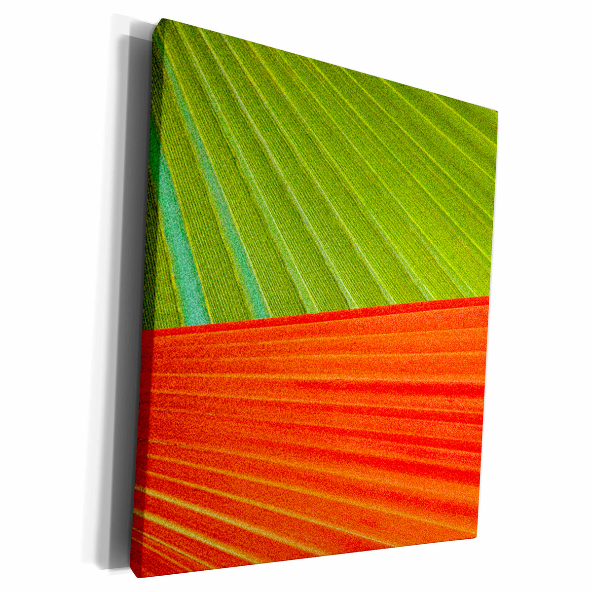 3dRose Green Orange Palm Leaves - Museum Grade Canvas Wrap (cw_20646)