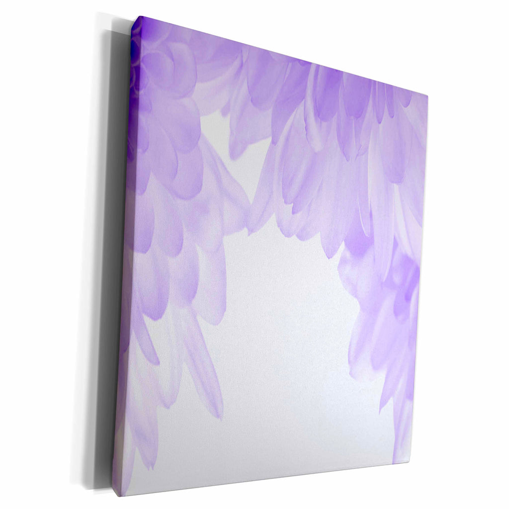 3dRose Light Purple Floral Arc - Museum Grade Canvas Wrap (cw_20661)