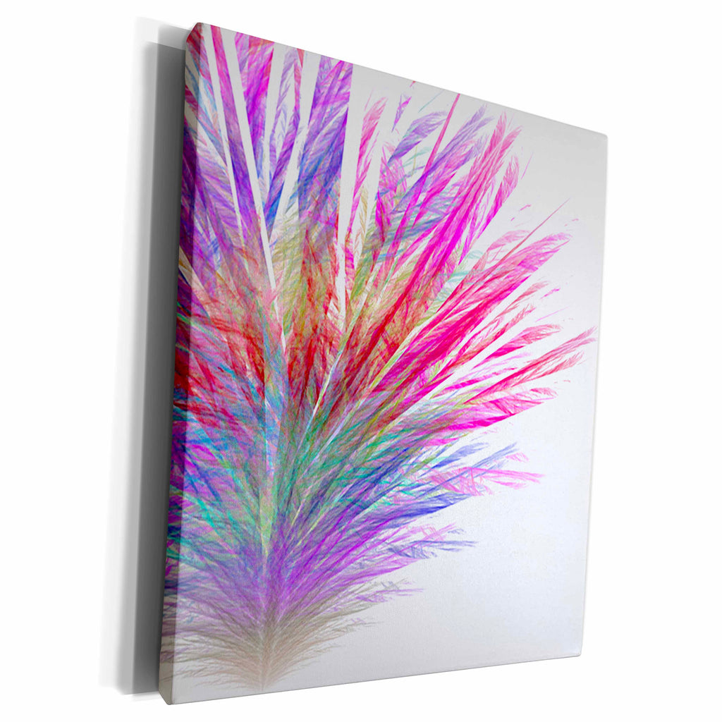 3dRose Multi Colored Feathers on White - Museum Grade Canvas Wrap (cw_20692)