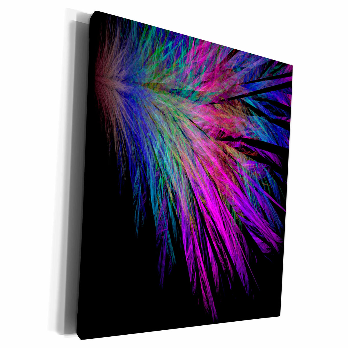 3dRose Multi Colored Feathers on Black - Museum Grade Canvas Wrap (cw_20693)