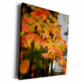 3dRose Michigan, Upper Peninsula. Bewabic SP. Maple tree... - Museum Grade Canvas Wrap (cw_207669)