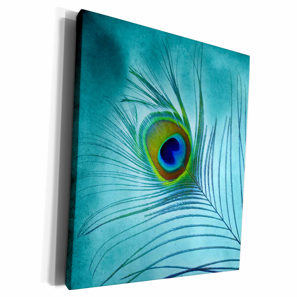 3dRose Peacock Feather on Turquoise Background - Museum Grade Canvas Wrap (cw_211236)