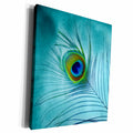 3dRose Peacock Feather on Turquoise Background - Museum Grade Canvas Wrap (cw_211236)