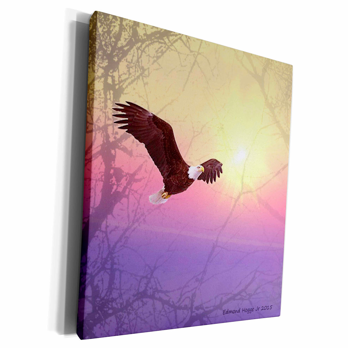 3dRose Bald Eagle Flying through the Fog - Museum Grade Canvas Wrap (cw_211694)