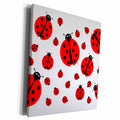 3dRose Image with many different sized ladybugs on white... - Museum Grade Canvas Wrap (cw_211985)