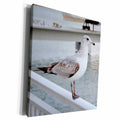 3dRose Seagull on rail facing right bird - Museum Grade Canvas Wrap (cw_212439)