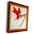 3dRose College Diploma - Museum Grade Canvas Wrap (cw_21249)