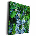 3dRose RinaPiro -Berries - Blueberries - Museum Grade Canvas Wrap (cw_212724)