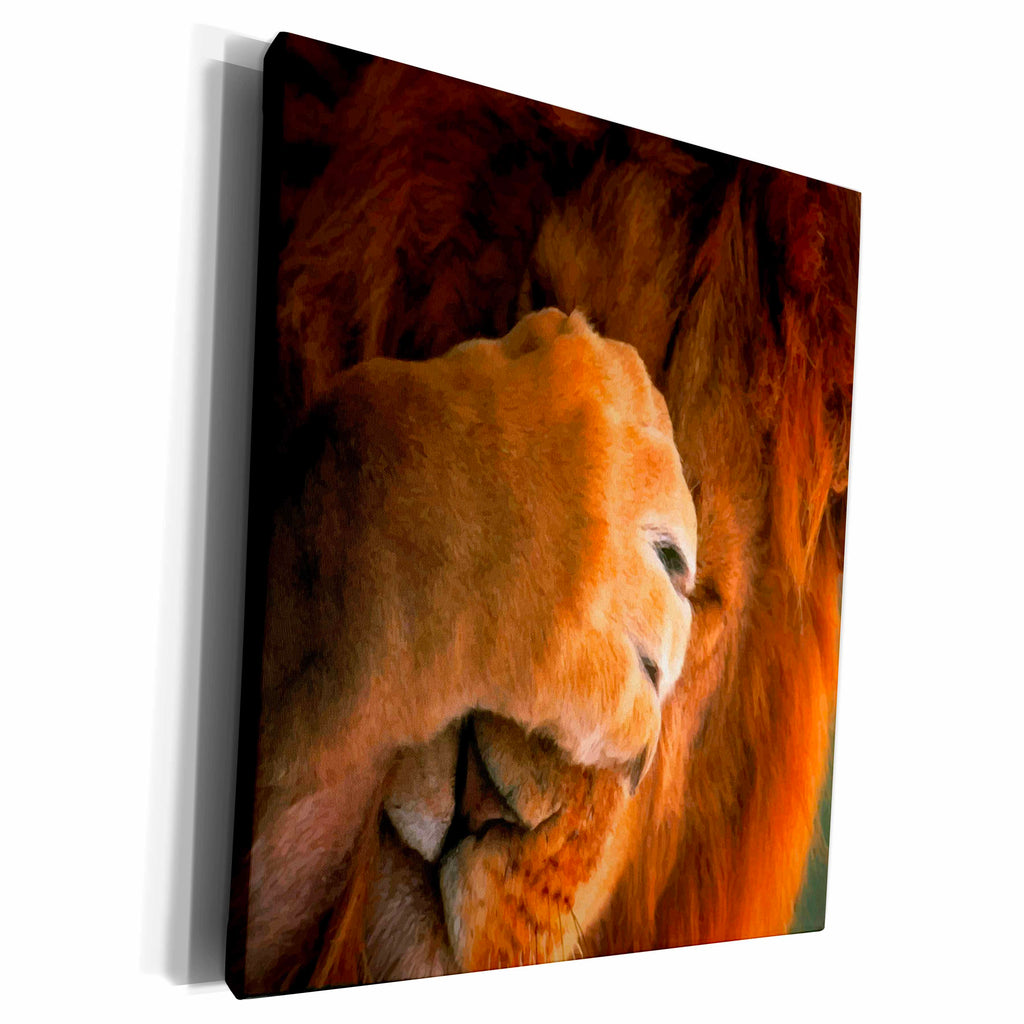 3dRose Susan Brown Designs Animal Themes - Silly Me - Museum Grade Canvas Wrap (cw_21303)