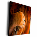 3dRose Susan Brown Designs Animal Themes - Silly Me - Museum Grade Canvas Wrap (cw_21303)