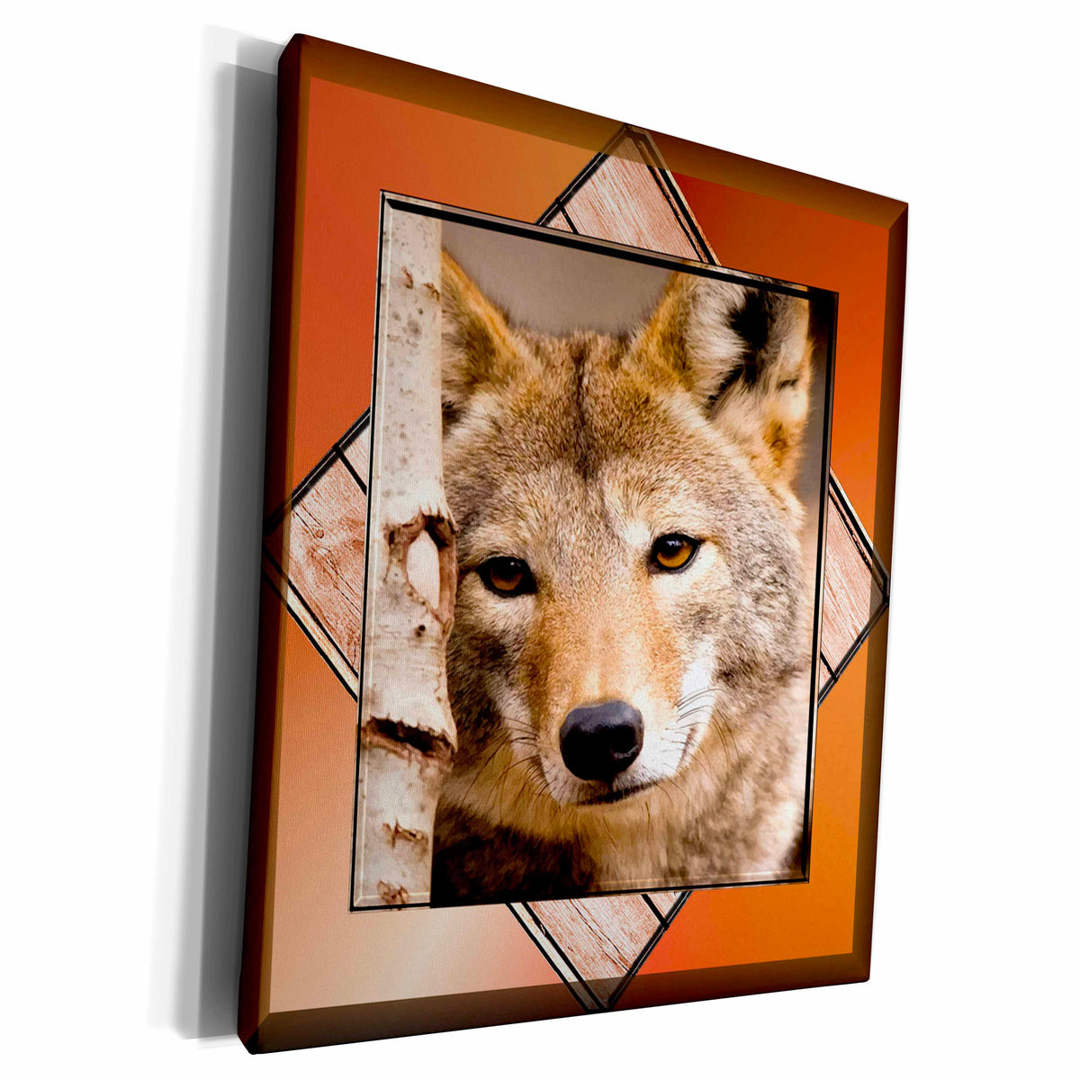 3dRose Wolf Resting Against a Tree - Museum Grade Canvas Wrap (cw_21322)