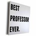 3dRose Best Professor Ever, Black Letters On A White... - Museum Grade Canvas Wrap (cw_213369)