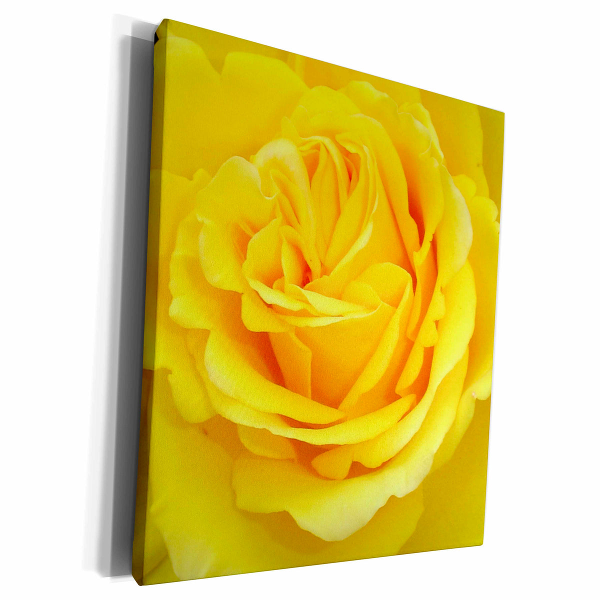 3dRose Taiche Photography - Rose Yellow - Museum Grade Canvas Wrap (cw_21383)